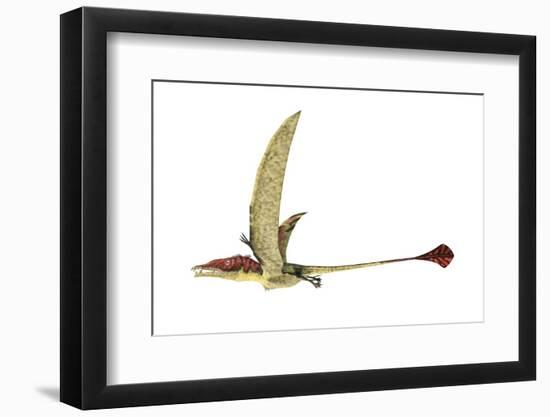 Eudimorphodon, Artwork-null-Framed Photographic Print
