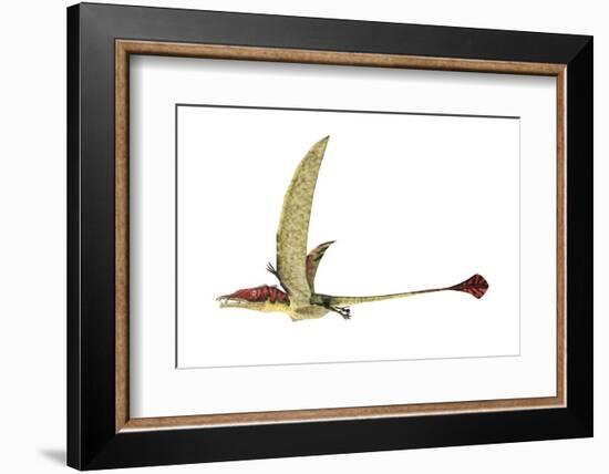 Eudimorphodon, Artwork-null-Framed Photographic Print