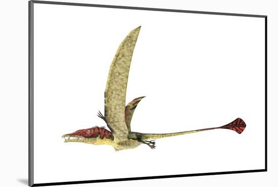 Eudimorphodon, Artwork-null-Mounted Photographic Print