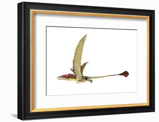 Eudimorphodon, Artwork-null-Framed Photographic Print