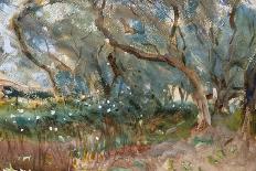 Landscape, Corfu, 1909-Eug?ne Boudin-Giclee Print