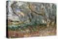 Stretched Canvas Print