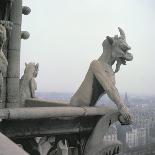 Gargoyle from the Balustrade of the Grande Galerie, Replica of a 12th Century Original-Eug?ne Viollet-le-Duc-Framed Giclee Print