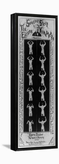 Eugen Sandow, Edison Kinetoscope Strip, 1894-Science Source-Framed Premier Image Canvas