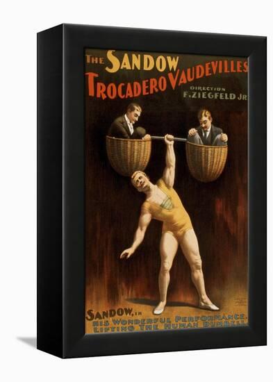 Eugen Sandow, German Born Strong Man, Was Florenz Ziegfeld's First Major Vaudeville Star, 1894-null-Framed Stretched Canvas