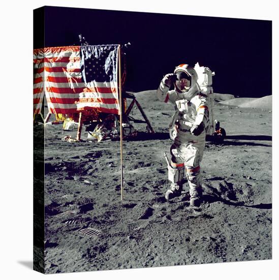 Stretched Canvas Print, , large