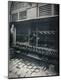 Premium Photographic Print