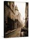 Stretched Canvas Print