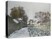 Stretched Canvas Print