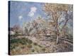 Stretched Canvas Print