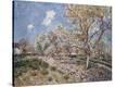 Stretched Canvas Print
