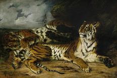 A Young Tiger Playing with Its Mother, 1830-Eugene Delacroix-Giclee Print