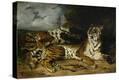 Stretched Canvas Print