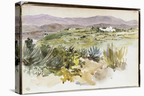 Stretched Canvas Print, , large