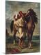 Premium Giclee Print