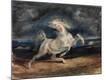 Giclee Print