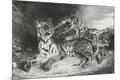 Giclee Print