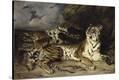 Stretched Canvas Print