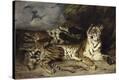 Stretched Canvas Print