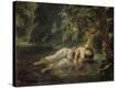 Stretched Canvas Print