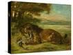 Stretched Canvas Print
