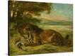 Stretched Canvas Print