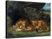 Stretched Canvas Print