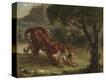 Stretched Canvas Print