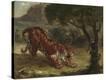 Stretched Canvas Print