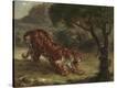 Stretched Canvas Print
