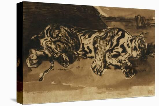 Stretched Canvas Print, , large