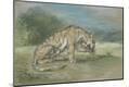 Giclee Print