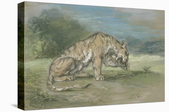 Stretched Canvas Print, , large