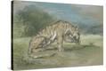 Stretched Canvas Print