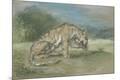 Premium Giclee Print