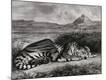 Premium Giclee Print