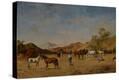 Stretched Canvas Print