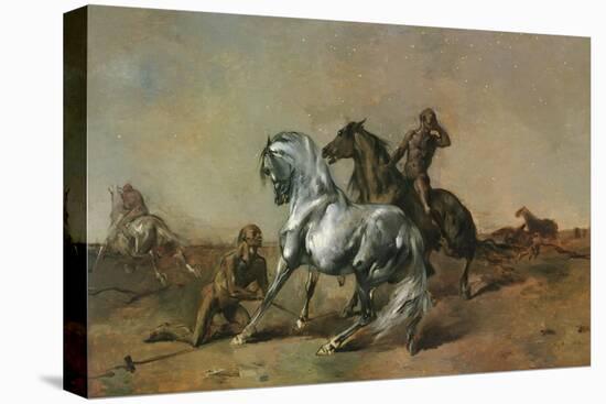 Stretched Canvas Print, , large