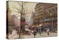 Stretched Canvas Print