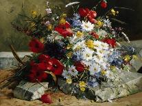 Still Life of Poppies, Daisies and Cornflowers-Eugene Henri Cauchois-Giclee Print