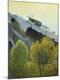 Premium Giclee Print