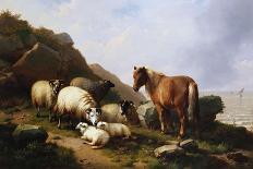 A Sunlit Barn with Ewes, Lambs and Chickens-Eugene Joseph Verboeckhoven-Giclee Print