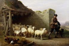 Sheep in a Landscape, 1863-Eugene Joseph Verboeckhoven-Giclee Print