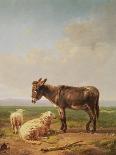 Sheep, Rabbits and a Chicken in a Barn, 1859-Eugene Joseph Verboeckhoven-Framed Giclee Print