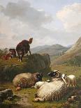 A Shepherd and His Flock, 1862-Eugene Joseph Verboeckhoven-Framed Giclee Print