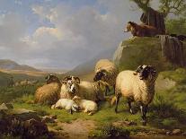 Sheep, Rabbits and a Chicken in a Barn, 1859-Eugene Joseph Verboeckhoven-Premier Image Canvas