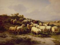 Sheep, Rabbits and a Chicken in a Barn, 1859-Eugene Joseph Verboeckhoven-Premier Image Canvas