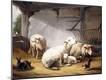 Giclee Print