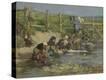 Stretched Canvas Print