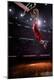 Premium Photographic Print